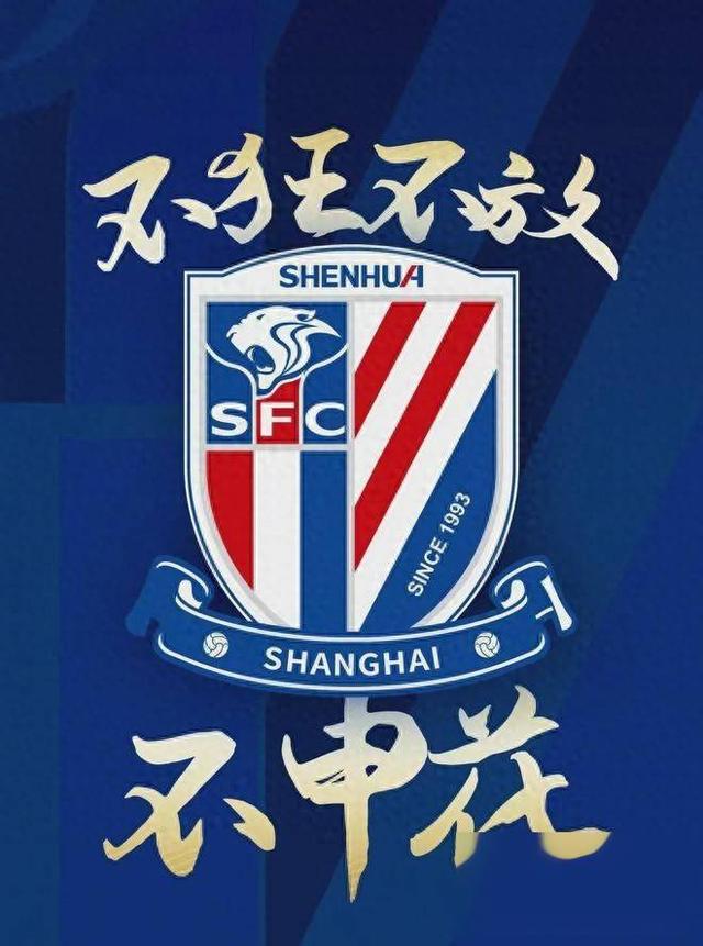 申花主场胜河北，中超争冠席位稳固的简单介绍