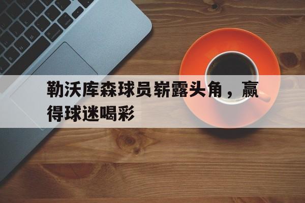勒沃库森球员崭露头角，赢得球迷喝彩的简单介绍