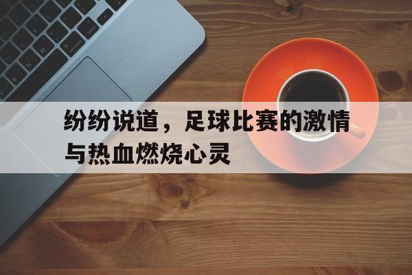 关于纷纷说道，足球比赛的激情与热血燃烧心灵的信息